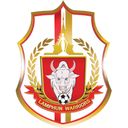 素可泰