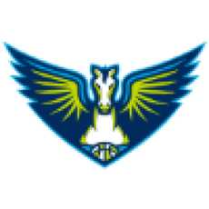 菲尼克斯水星