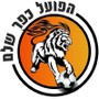 赖阿南纳夏普尔