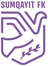 米尔姆甘FK